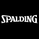 Pelota Spalding 2022 TF150