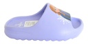 Calzado Slider Eva Frozen