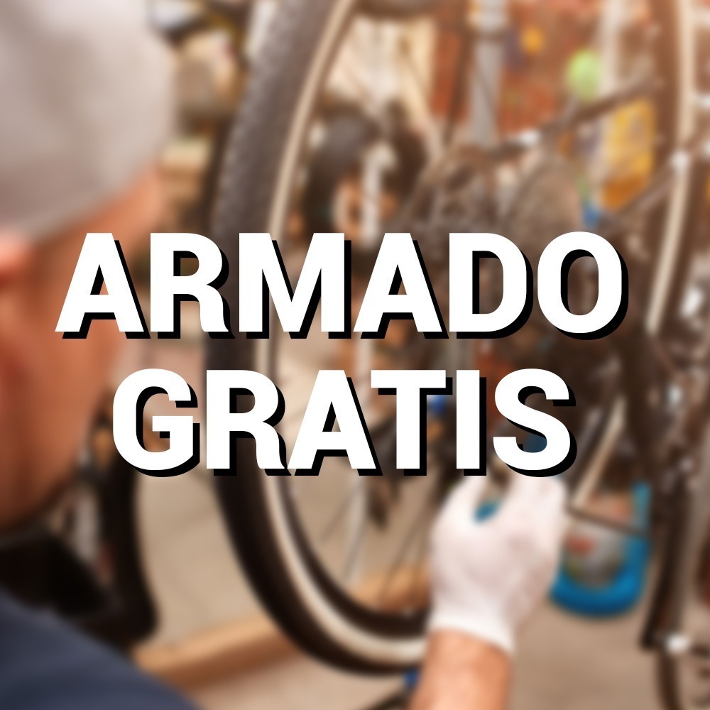 Bicicleta Infantil Rodado 20 Con Canasto Roma Classic