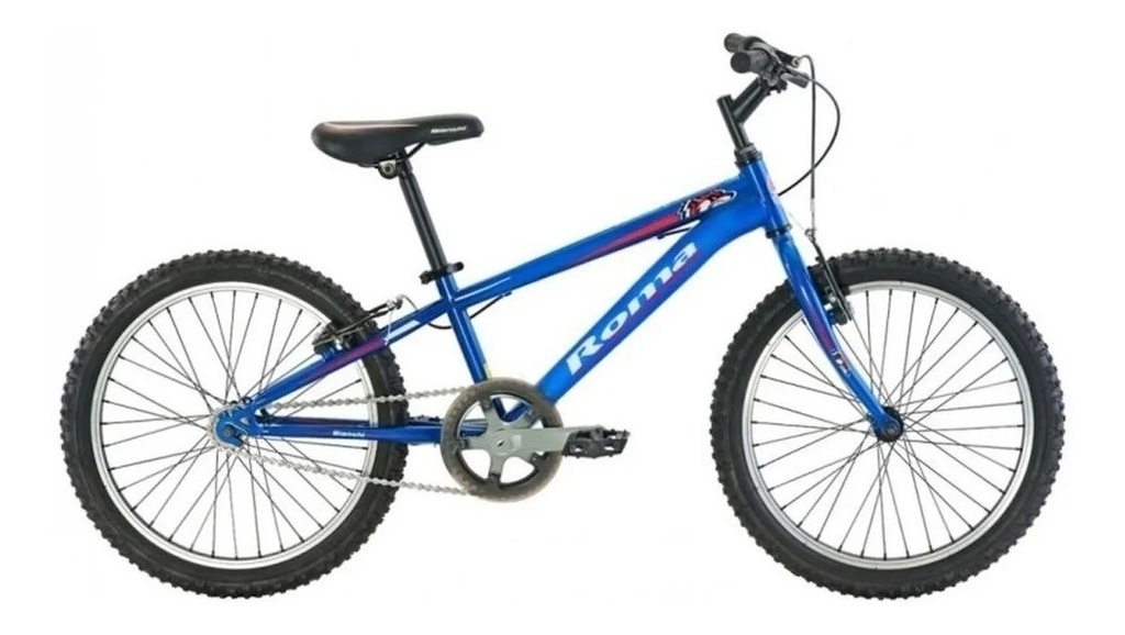 Bicicleta Infantil Rodado 20 Con Canasto Roma Classic