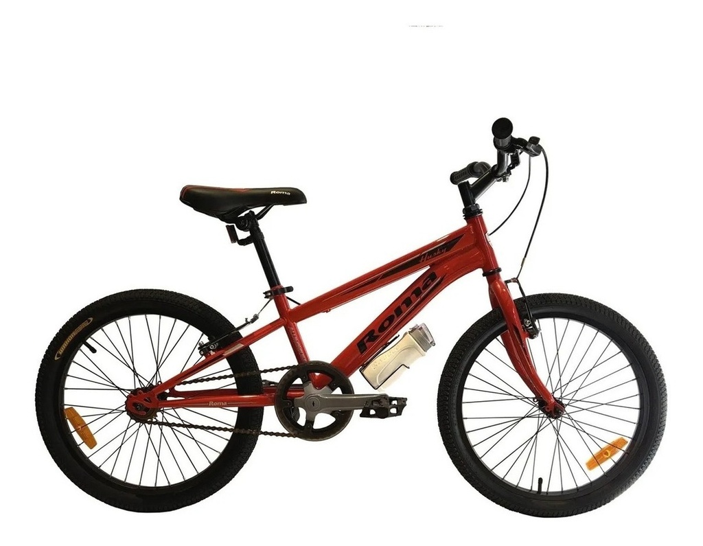 Bicicleta Infantil Acero Canasto Roma Classic Rodado 20