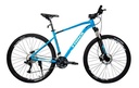 Bicicleta Trinx M1000 Pro